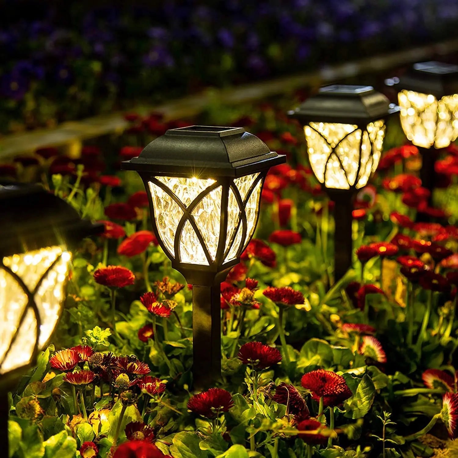 Solar Lawn Lantern Light