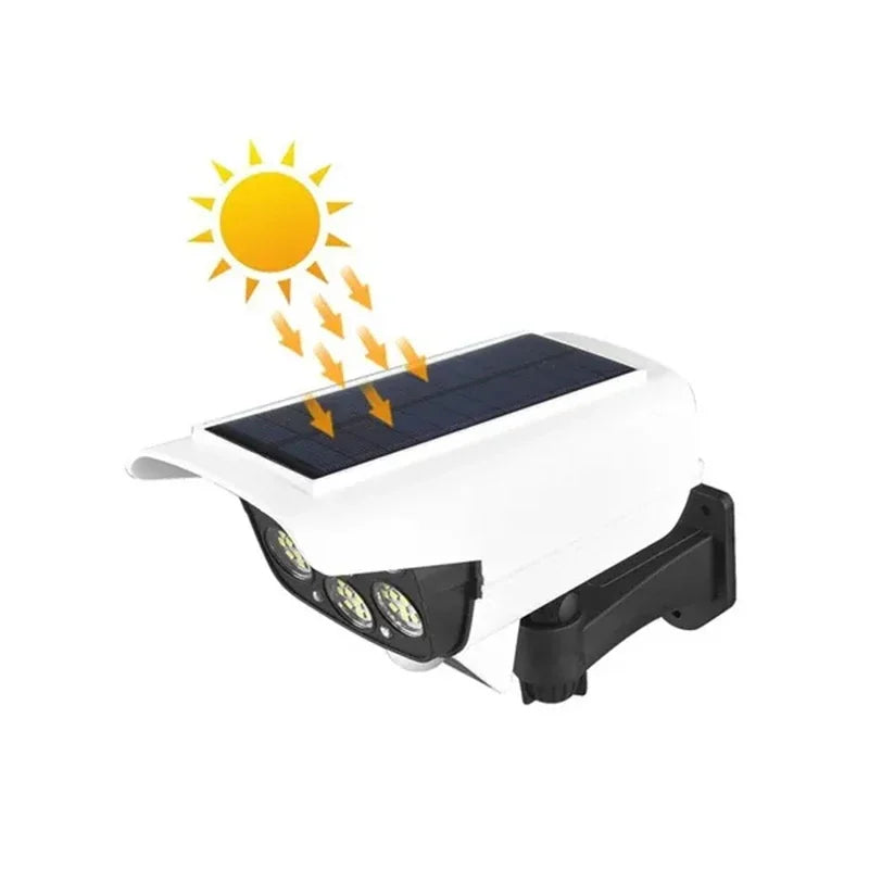 Solar Motion Flood